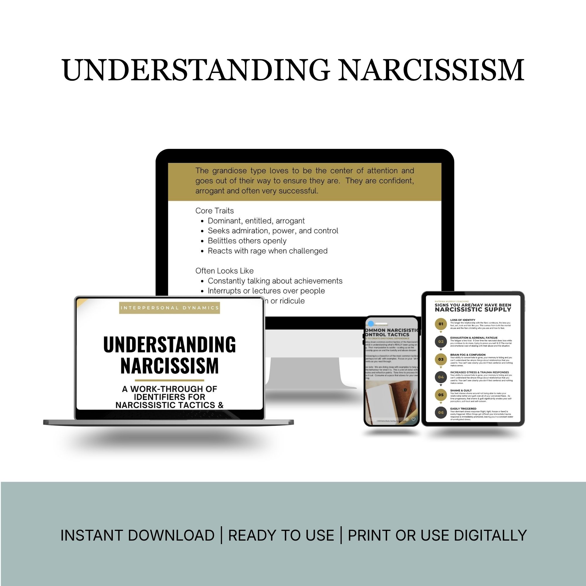 UNDERSTANDING NARCISSISM DIGITAL WORK-THROUGH - Image 4