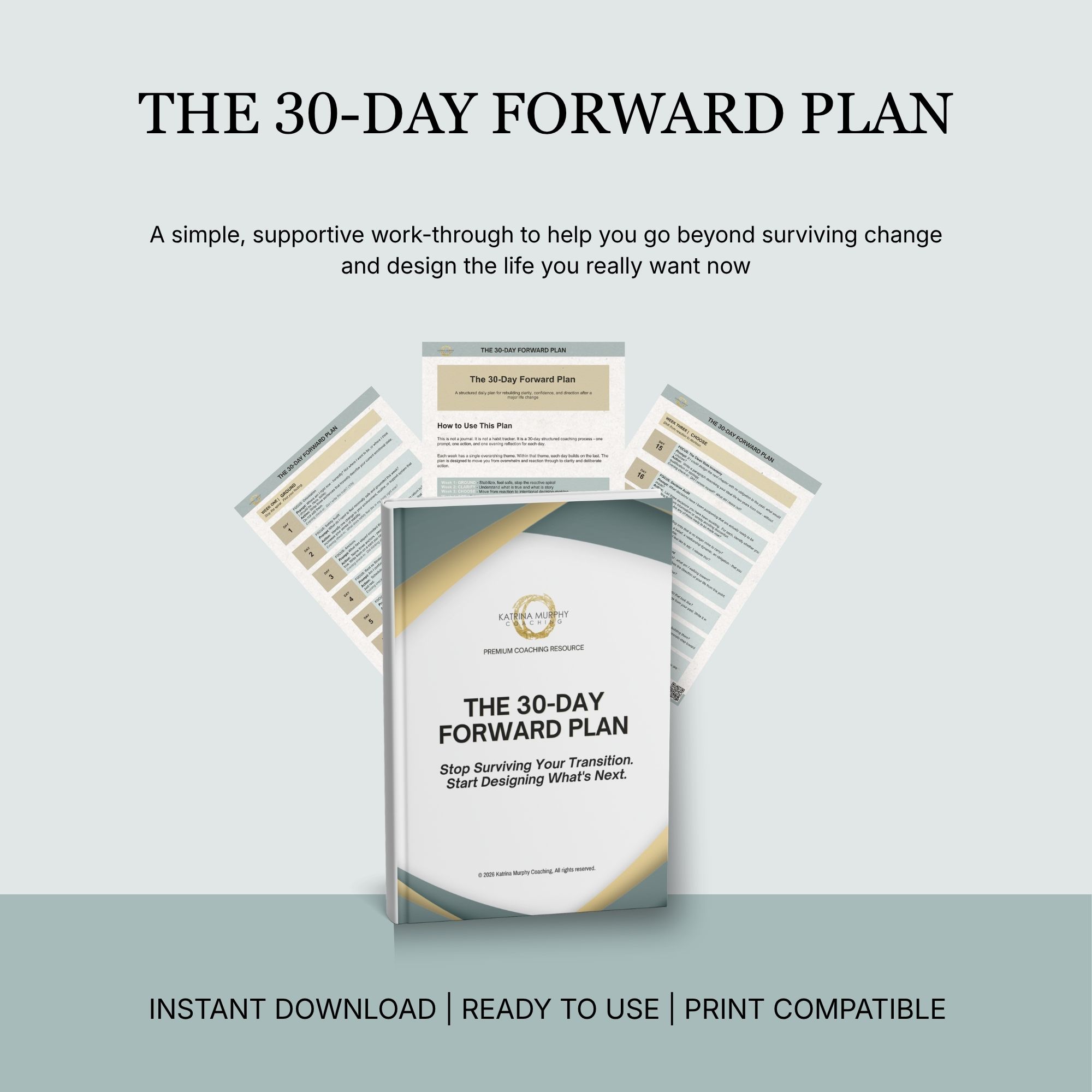 THE 30-DAY FORWARD PLAN